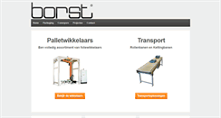 Desktop Screenshot of borstsystems.com